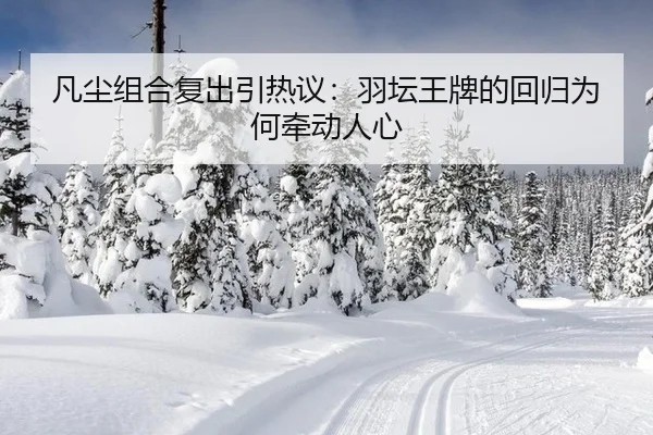 凡尘组合复出引热议：羽坛王牌的回归为何牵动人心（rb88app）